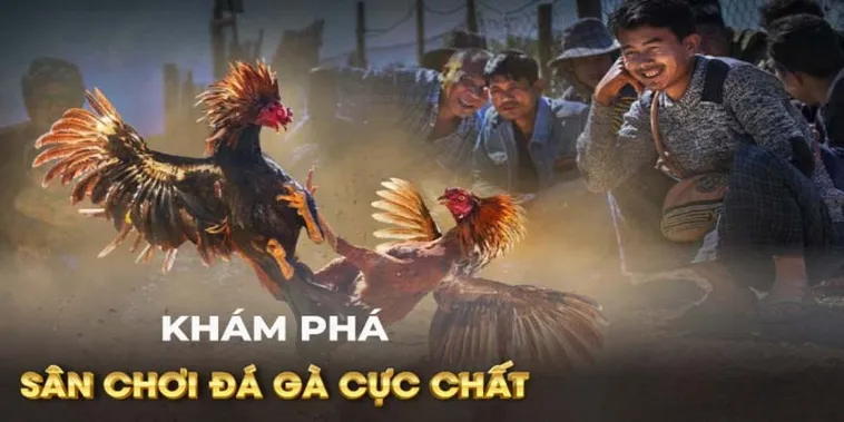 Chinh Phục Đá Gà GA28 Tại B52 Club Với Chiến Thuật Đỉnh Cao 2026