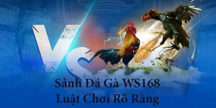Phân Tích Chuyên Sâu Đá Gà WS168 Tại B52 Club Và Kỹ Thuật Soi Kèo
