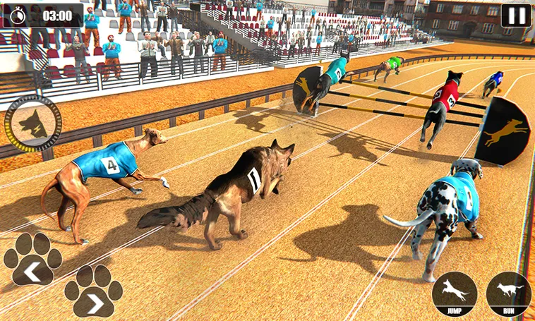 Bí Kíp Cá Cược Game Nhanh Đua Chó Tại B52 Club Luôn Thắng Đậm