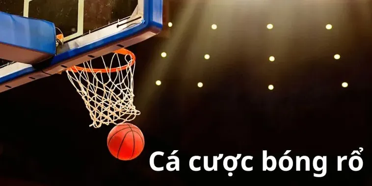 Phân Tích Chuyên Sâu Cá Cược Bóng Rổ B52 Club Và Quy Luật Tài Xỉu